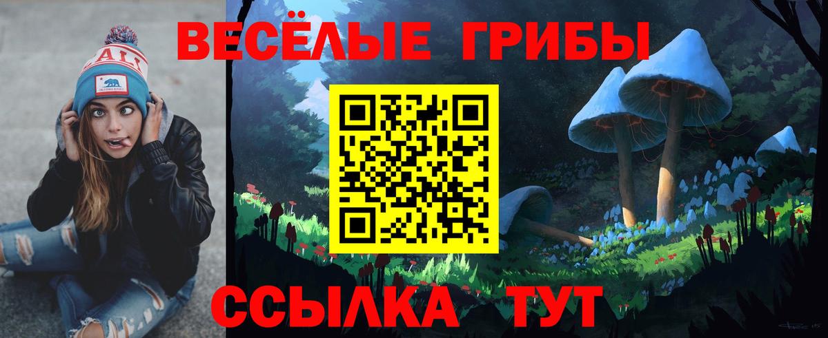 Кимры  Галлюциногенные грибы Psilocybine cubensis  Вход с VPN 